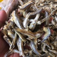 公鱼 公干鱼 鱼干 咸鱼 海鲜干货 鱼 海鲜干货 咸鱼 水产 海产品