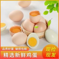 莲田优选鸡蛋农场农庄鸡蛋土鸡产蛋无抗新鲜鸡蛋谷物粮食喂养40枚