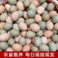 农家土鸡蛋绿壳粉壳彩色混发散养土鸡蛋笨鸡蛋20-40枚批发